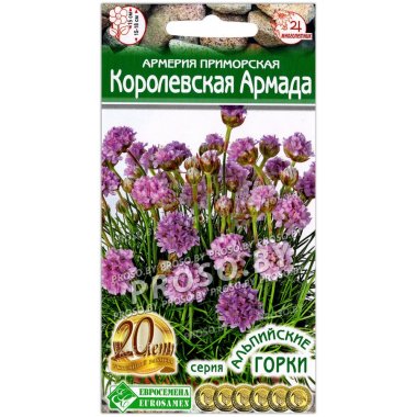 Армерия приморская Королевская армада