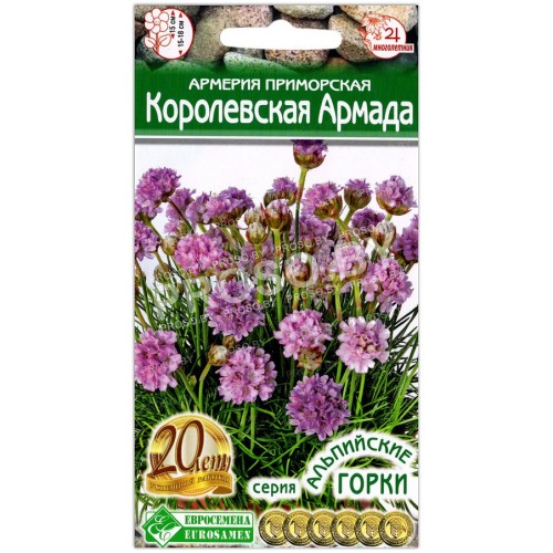 Армерия приморская Королевская армада