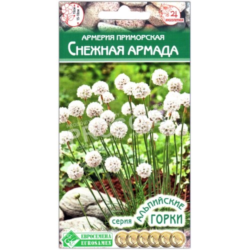 Армерия приморская Снежная армада