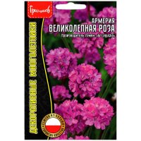 Армерия Великолепная роза