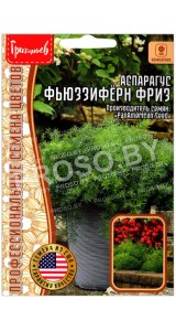 Аспарагус Фьюззиферн фриз