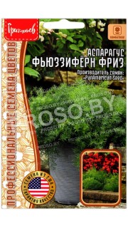 Аспарагус Фьюззиферн фриз
