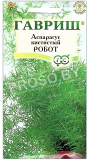 Аспарагус кистистый Робот