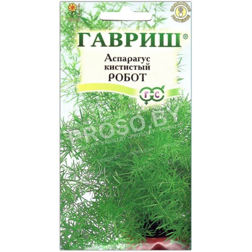 Аспарагус кистистый Робот
