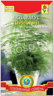 Аспарагус Перистый