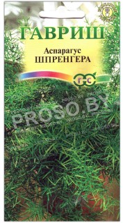 Аспарагус Шпренгера