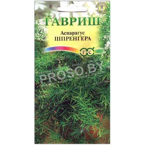 Аспарагус Шпренгера