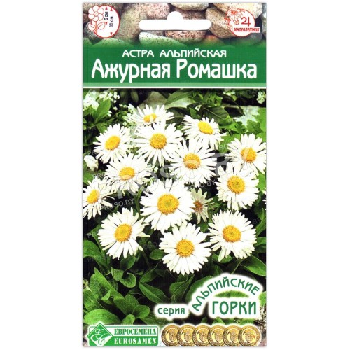 Астра альпийская Ажурная ромашка