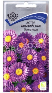 Астра альпийская Фиолетовая