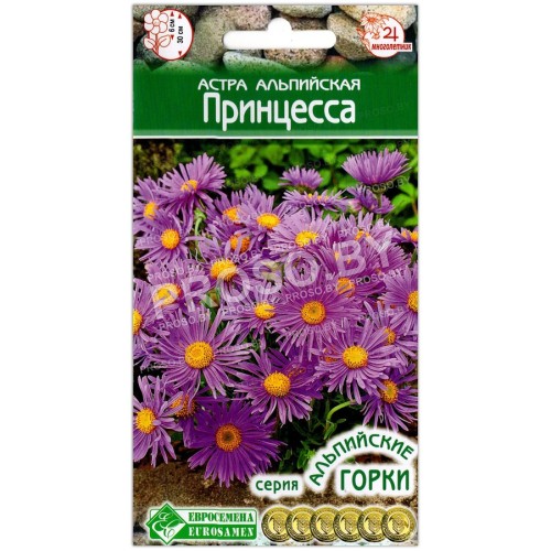 Астра альпийская Принцесса