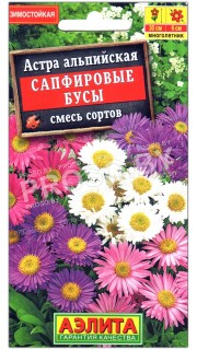 Астра альпийская Сапфировые бусы, смесь
