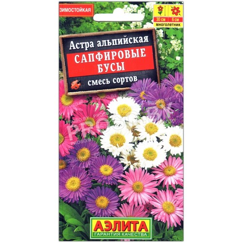 Астра альпийская Сапфировые бусы, смесь