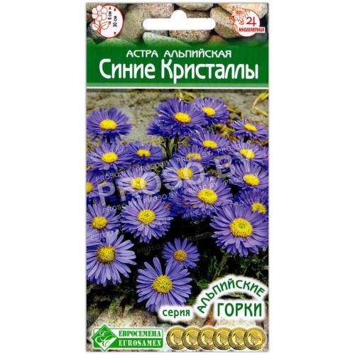 Астра альпийская Синие кристаллы
