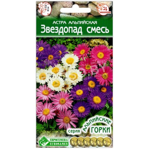 Астра альпийская Звездопад, смесь