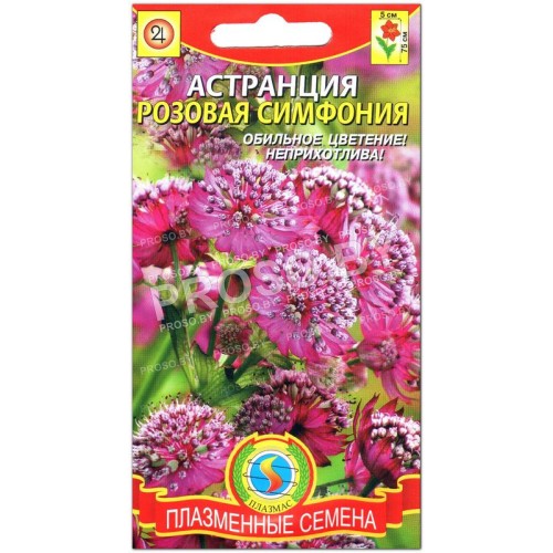 Астранция Розовая симфония