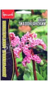 Бадан Тихоокеанский