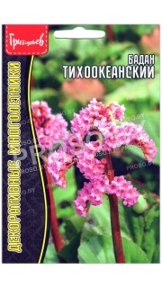 Бадан Тихоокеанский