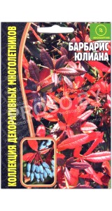 Барбарис Юлиана