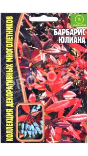 Барбарис Юлиана