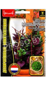 Базелла Малабарская