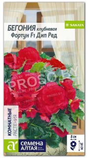 Бегония Фортун Дип Ред F1
