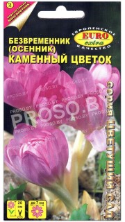 Безвременник (осенник) Каменный цветок