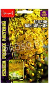 Бобовник Альпийский
