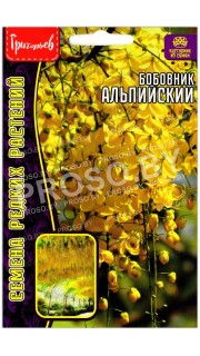 Бобовник Альпийский