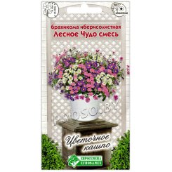Брахикома иберисолистная Лесное чудо, смесь