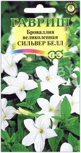 Броваллия великолепная Сильвер белл