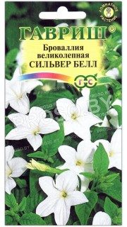 Броваллия великолепная Сильвер белл