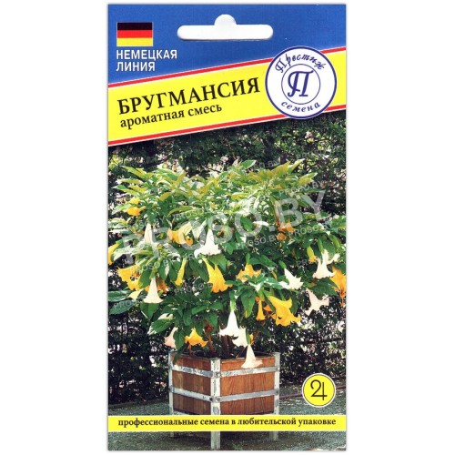 Бругмансия Ароматная смесь