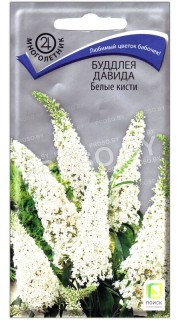 Буддлея Давида Белые кисти