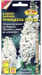 Буддлея Давида Принцесса Лебедь