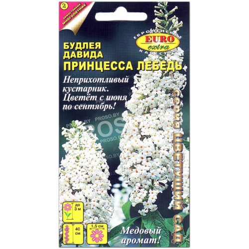 Буддлея Давида Принцесса Лебедь