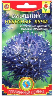 Букашник Небесные лучи