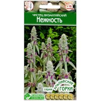 Чистец византийский Нежность