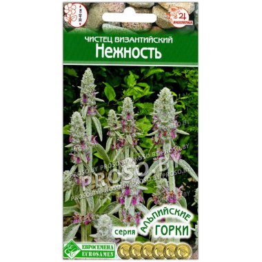 Чистец византийский Нежность