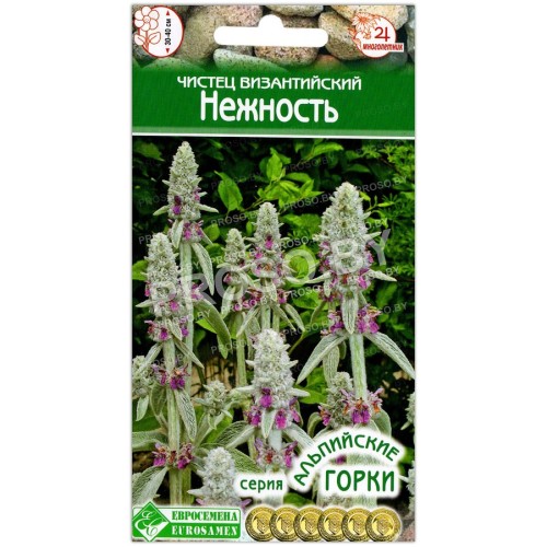 Чистец византийский Нежность