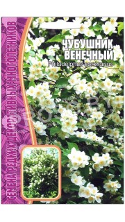 Чубушник Венечный