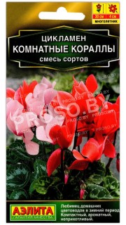 Цикламен Комнатные кораллы, смесь