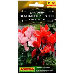 Цикламен Комнатные кораллы, смесь