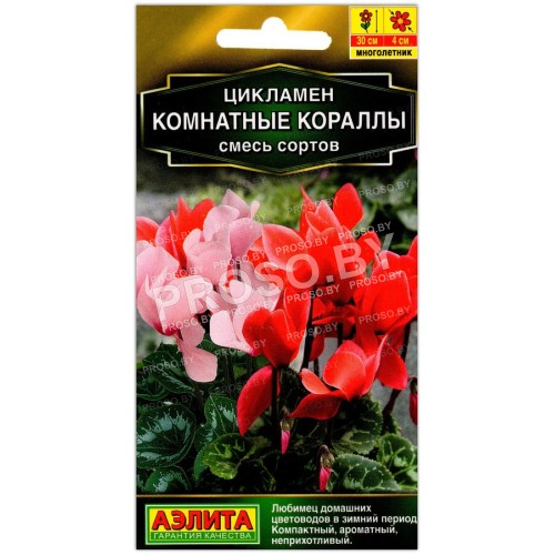 Цикламен Комнатные кораллы, смесь