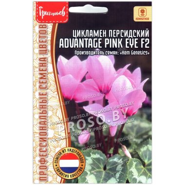 Цикламен персидский Advantage pink eye F2