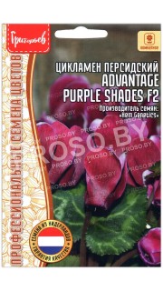 Цикламен персидский Advantage purple shades F2