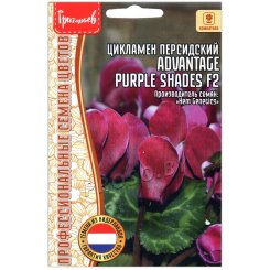 Цикламен персидский Advantage purple shades F2