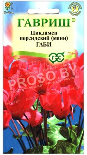 Цикламен персидский Габи