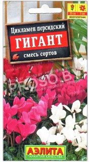 Цикламен персидский Гигант, смесь