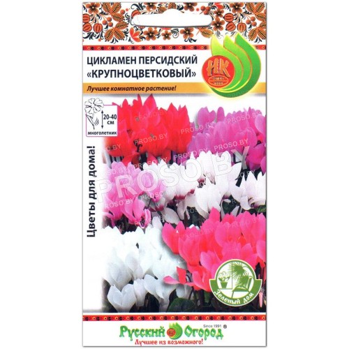 Цикламен персидский Крупноцветковый