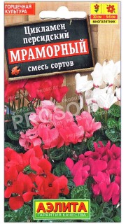 Цикламен персидский Мраморный, смесь